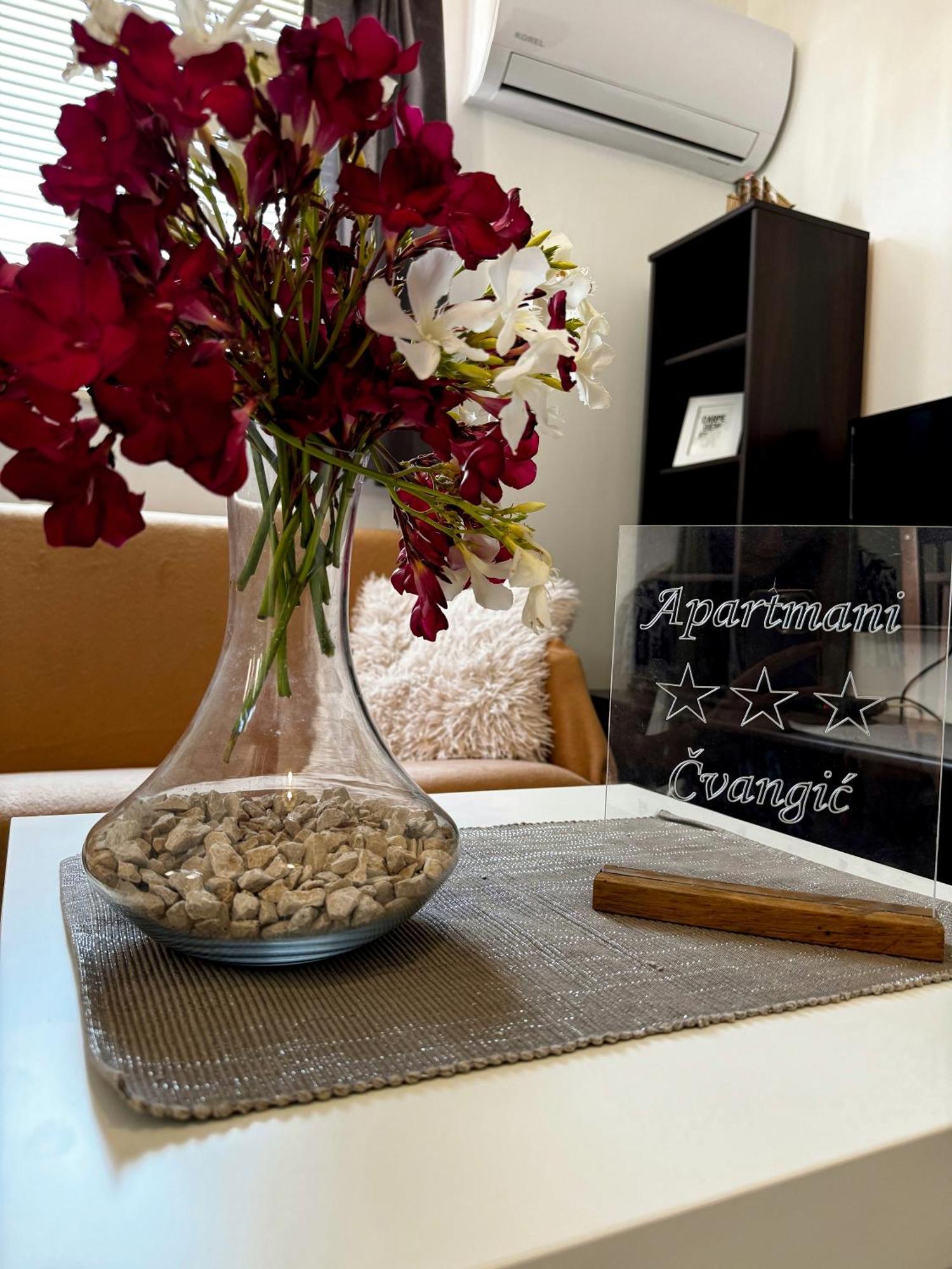 Apartmani Cvangic Vir Exterior foto